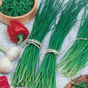 Luk vlašac Welta 1,2gr. (oko 600 sem.)